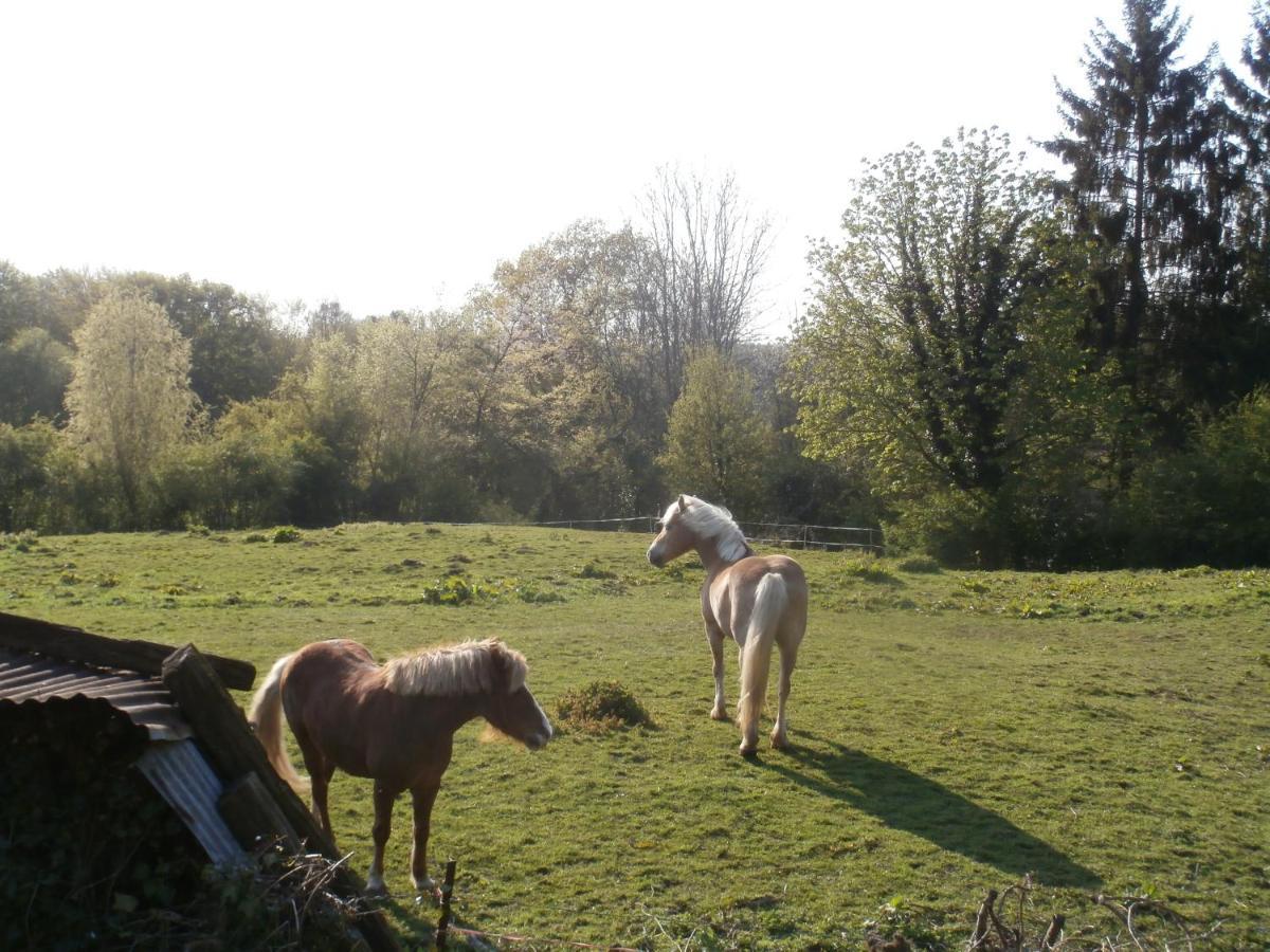 Chambre D'Hotes L'Ermite Saint-Algis ภายนอก รูปภาพ